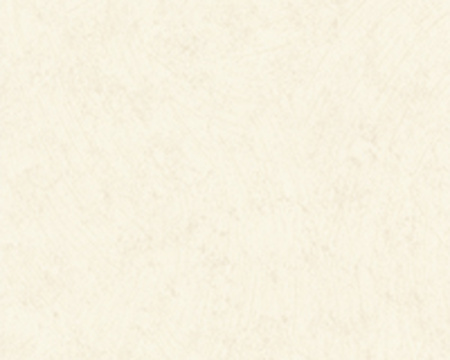 фото A.S.Creation Styleguide Klassisch 191151