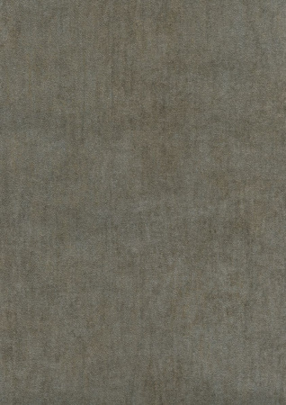 фото Emiliana Parati Future 44044