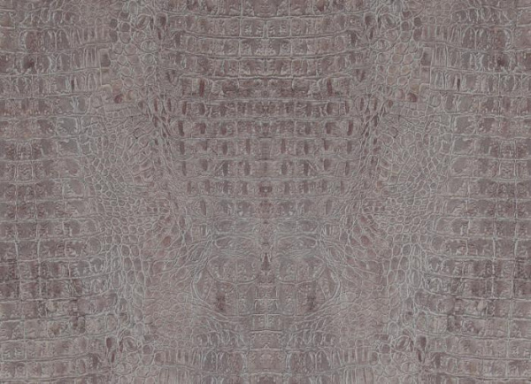 купить BN International Curious 17952