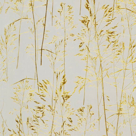 фото Yulan Gold Index 097101