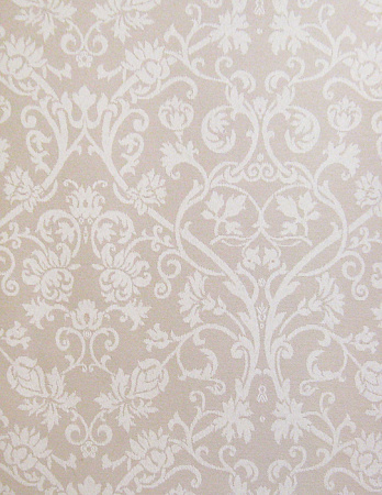 фото Calcutta Pride Pride_Pride309001