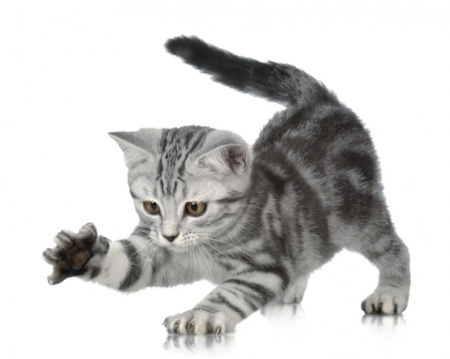 фото Rasch Kids' Club 2014 892314