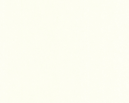 фото A.S.Creation Best of Vlies 2012 174031