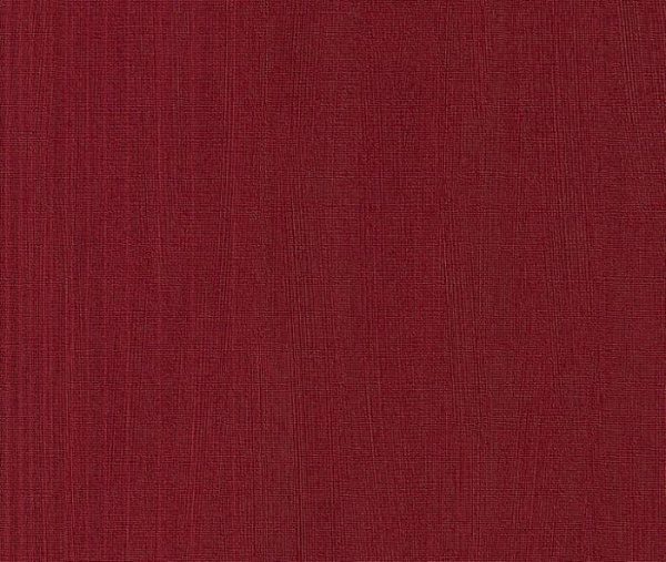 купить Rasch Intuicion 2011 733457