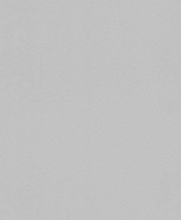 фото Rasch Modern Art 607703