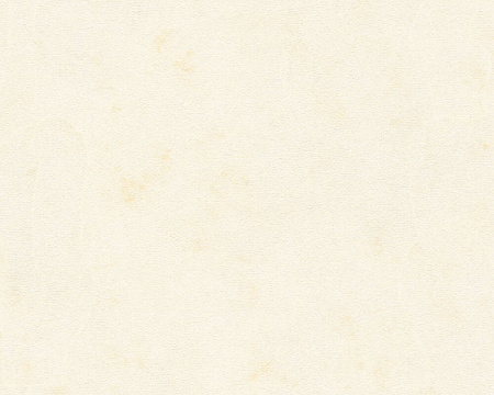 фото A.S.Creation Kind of white 34079-6