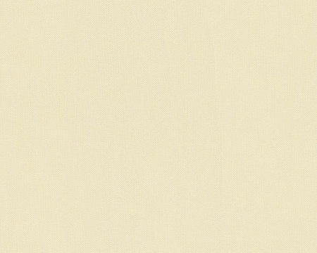 фото A.S.Creation Felicia 966827