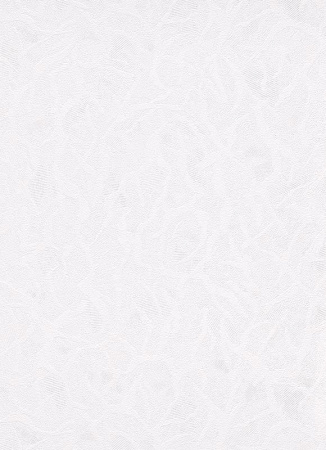 фото Erismann RollOver Expert 3903-01