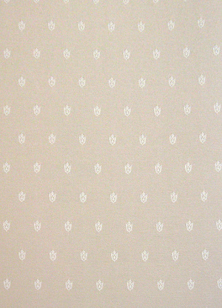 фото Calcutta Pride Pride_Pride309002