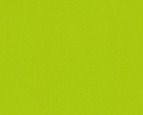 купить AS Creation Pop Colors 346216