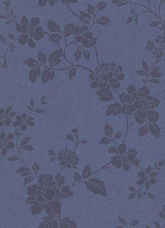 фото Erismann Cassiopeia 1761-08