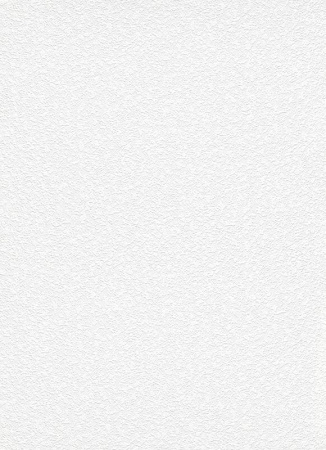 фото Erismann RollOver Expert 3900-01 (3900-10)