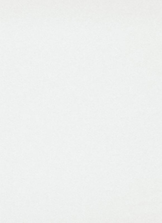 фото Erismann RollOver Expert 3333-6 (плотность 150гр.)