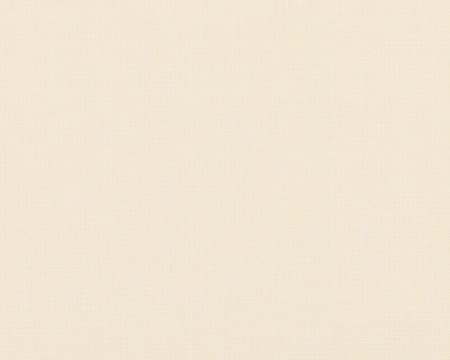 фото A.S.Creation Evelin 298515