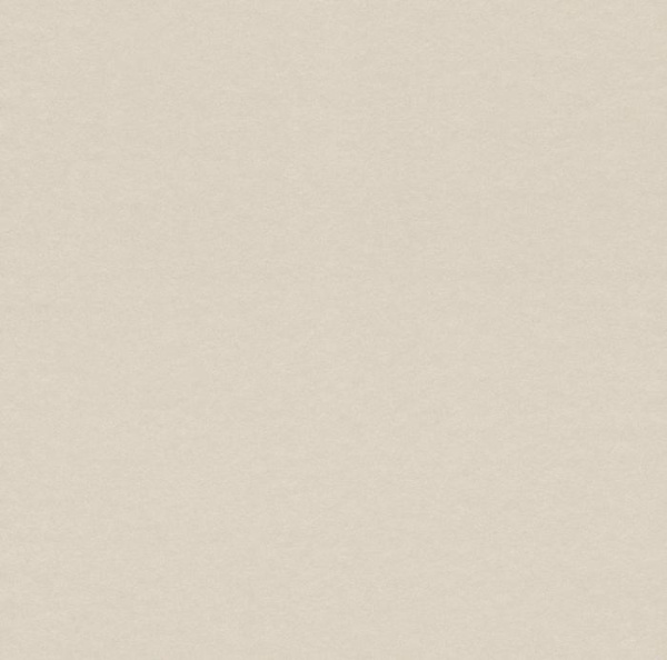 купить Rasch Cosy White 2015 269375