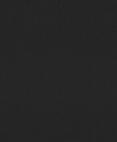 купить Rasch Modern Surfaces 2 610376