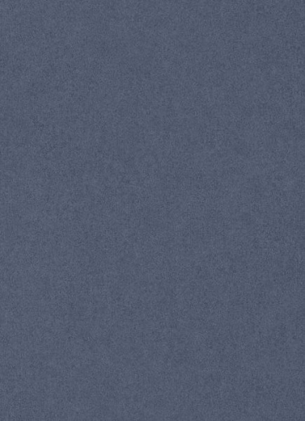 купить Erismann California Dreams 6370-08