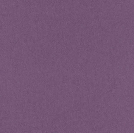 фото Rasch Seduction 2014 796278