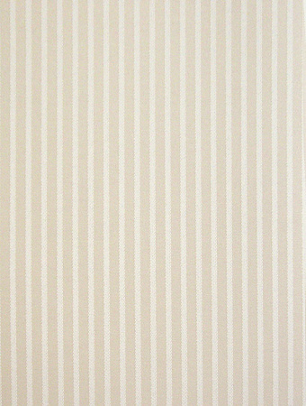 фото Calcutta Pride Pride_Pride309006