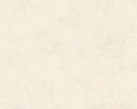 фото A.S.Creation Kind of white 34079-5
