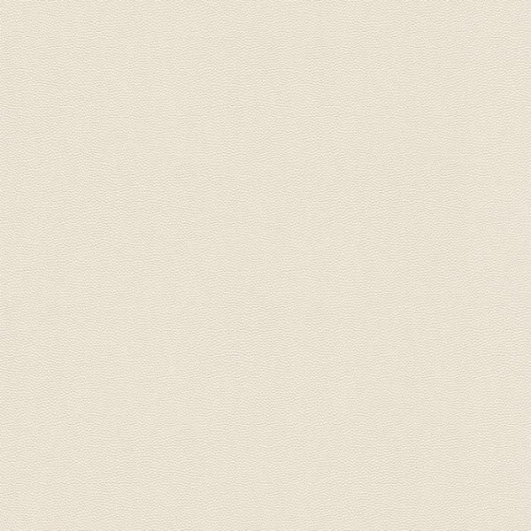 купить Rasch Cosmopolitan 576054