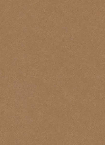 купить Erismann City Glam 5958-11