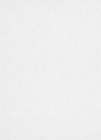 фото Erismann Robusto Vol.2 3915-01