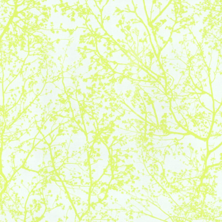 фото P+S International Graphics Alive 13264-60