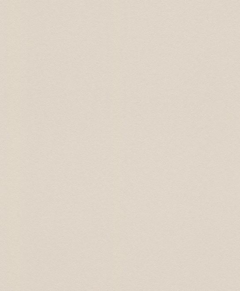 купить Rasch Modern Surfaces 2 607789