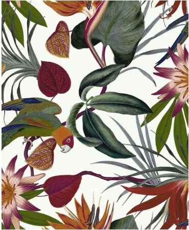 фото Graham & Brown Paradise 108601