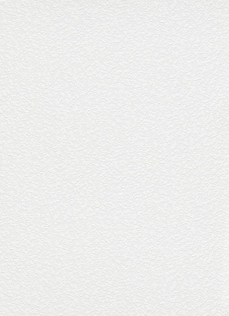 фото Erismann RollOver 3900-10 (3900-01)