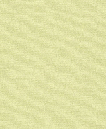 фото Rasch Flower Poetry 2015 451511