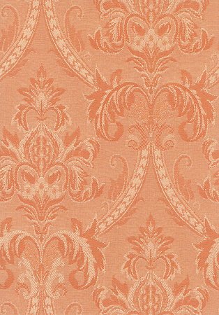 фото Calcutta Pride Pride_2