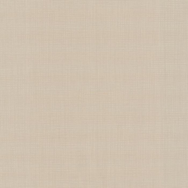 купить P+S International Novara 2 13082-50