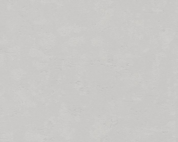 купить A.S.Creation Beton 365934