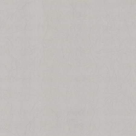 фото P+S International Intense 02258-70