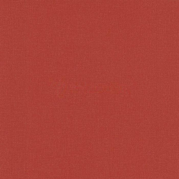 купить P+S International Dieter Bohlen - Dieter 4 Kid'Z 05497-70