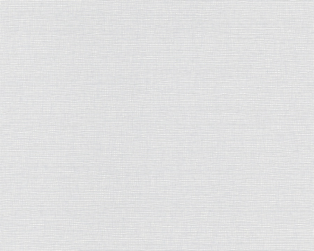 фото A.S.Creation Meistervlies 4 2460-11 / 2461-10