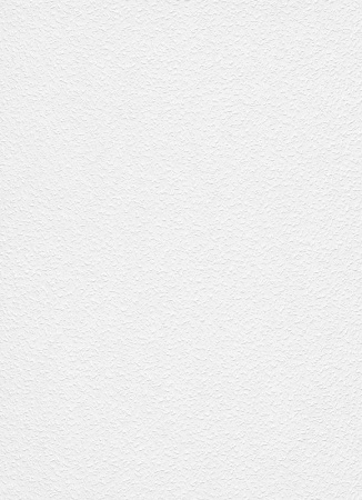 фото Erismann RollOver 5395-10 (5395-01)