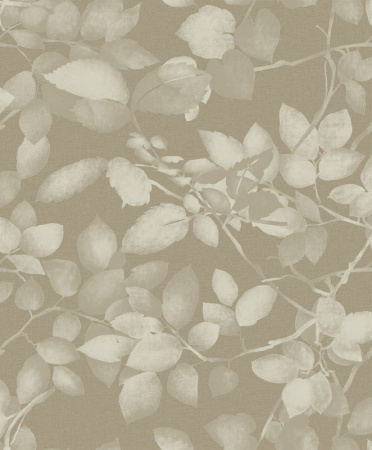 фото Khroma Silence sil-503