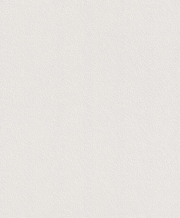 фото Rasch Naturalia 475517