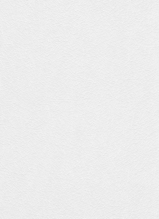 фото Erismann RollOver 3924-10 (3924-01)