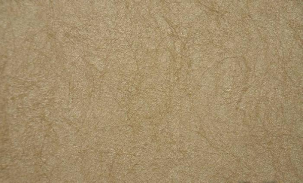 купить Rasch Gentle Divine 216058