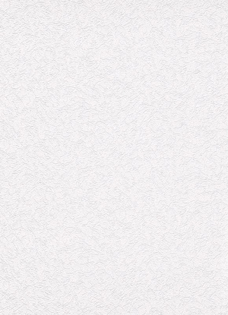 фото Erismann RollOver Expert 3909-01