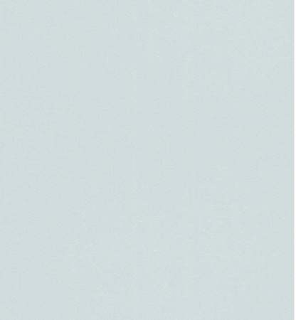 фото Rasch Selection vinyl 517453