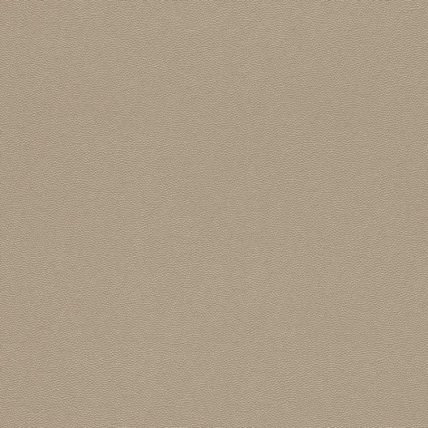купить Rasch Cosmopolitan 576030