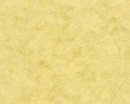 фото A.S.Creation New Look 32447-6