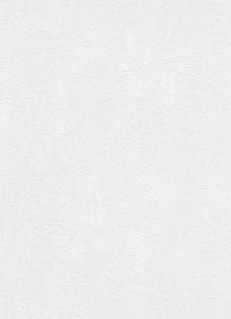 фото Erismann RollOver 5381-10 (5381-01)