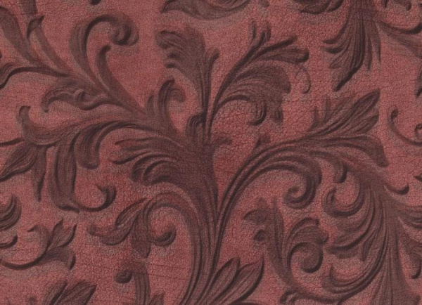 купить BN International Curious 17941