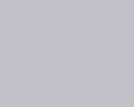 фото A.S.Creation Esprit 9 94154-3